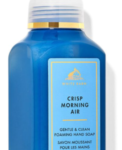 BBW Gentle & Clean Foaming Hand Soap Crisp Morning Air-259ml